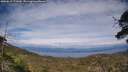 ./images/calvert/fitz-hugh-hecate/20250612/fitz-hugh-hecate20250612_171009M.jpg