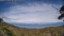 ./images/calvert/fitz-hugh-hecate/20250612/fitz-hugh-hecate20250612_172009M.jpg