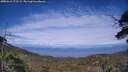 ./images/calvert/fitz-hugh-hecate/20250612/fitz-hugh-hecate20250612_172509M.jpg