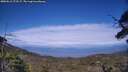 ./images/calvert/fitz-hugh-hecate/20250612/fitz-hugh-hecate20250612_173507M.jpg
