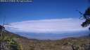 ./images/calvert/fitz-hugh-hecate/20250612/fitz-hugh-hecate20250612_174010M.jpg
