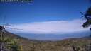 ./images/calvert/fitz-hugh-hecate/20250612/fitz-hugh-hecate20250612_174509M.jpg