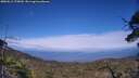 ./images/calvert/fitz-hugh-hecate/20250612/fitz-hugh-hecate20250612_175010M.jpg