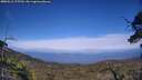./images/calvert/fitz-hugh-hecate/20250612/fitz-hugh-hecate20250612_175510M.jpg