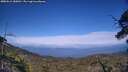 ./images/calvert/fitz-hugh-hecate/20250612/fitz-hugh-hecate20250612_180013M.jpg