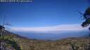 ./images/calvert/fitz-hugh-hecate/20250612/fitz-hugh-hecate20250612_181510M.jpg
