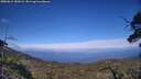 ./images/calvert/fitz-hugh-hecate/20250612/fitz-hugh-hecate20250612_182008M.jpg