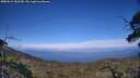 ./images/calvert/fitz-hugh-hecate/20250612/fitz-hugh-hecate20250612_182510M.jpg