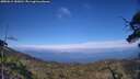 ./images/calvert/fitz-hugh-hecate/20250612/fitz-hugh-hecate20250612_183011M.jpg
