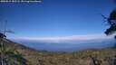 ./images/calvert/fitz-hugh-hecate/20250612/fitz-hugh-hecate20250612_183507M.jpg