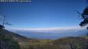 ./images/calvert/fitz-hugh-hecate/20250612/fitz-hugh-hecate20250612_184009M.jpg