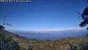 ./images/calvert/fitz-hugh-hecate/20250612/fitz-hugh-hecate20250612_185509M.jpg