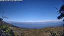 ./images/calvert/fitz-hugh-hecate/20250612/fitz-hugh-hecate20250612_190009M.jpg