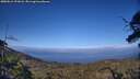 ./images/calvert/fitz-hugh-hecate/20250612/fitz-hugh-hecate20250612_191007M.jpg