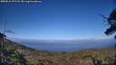 ./images/calvert/fitz-hugh-hecate/20250612/fitz-hugh-hecate20250612_191508M.jpg