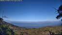 ./images/calvert/fitz-hugh-hecate/20250612/fitz-hugh-hecate20250612_192008M.jpg