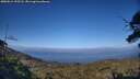 ./images/calvert/fitz-hugh-hecate/20250612/fitz-hugh-hecate20250612_192508M.jpg