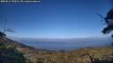 ./images/calvert/fitz-hugh-hecate/20250612/fitz-hugh-hecate20250612_193008M.jpg
