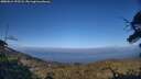 ./images/calvert/fitz-hugh-hecate/20250612/fitz-hugh-hecate20250612_193507M.jpg