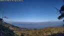 ./images/calvert/fitz-hugh-hecate/20250612/fitz-hugh-hecate20250612_194508M.jpg