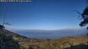 ./images/calvert/fitz-hugh-hecate/20250612/fitz-hugh-hecate20250612_195008M.jpg
