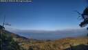 ./images/calvert/fitz-hugh-hecate/20250612/fitz-hugh-hecate20250612_195508M.jpg