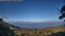 ./images/calvert/fitz-hugh-hecate/20250612/fitz-hugh-hecate20250612_200008M.jpg