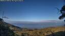 ./images/calvert/fitz-hugh-hecate/20250612/fitz-hugh-hecate20250612_200506M.jpg