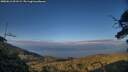 ./images/calvert/fitz-hugh-hecate/20250612/fitz-hugh-hecate20250612_201508M.jpg