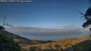 ./images/calvert/fitz-hugh-hecate/20250612/fitz-hugh-hecate20250612_204009M.jpg