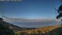 ./images/calvert/fitz-hugh-hecate/20250612/fitz-hugh-hecate20250612_204507M.jpg