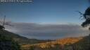 ./images/calvert/fitz-hugh-hecate/20250612/fitz-hugh-hecate20250612_211008M.jpg