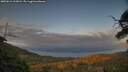 ./images/calvert/fitz-hugh-hecate/20250612/fitz-hugh-hecate20250612_212007M.jpg