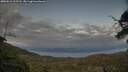 ./images/calvert/fitz-hugh-hecate/20250612/fitz-hugh-hecate20250612_213507M.jpg