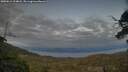 ./images/calvert/fitz-hugh-hecate/20250612/fitz-hugh-hecate20250612_214008M.jpg