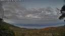 ./images/calvert/fitz-hugh-hecate/20250612/fitz-hugh-hecate20250612_214508M.jpg