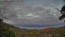 ./images/calvert/fitz-hugh-hecate/20250612/fitz-hugh-hecate20250612_215008M.jpg