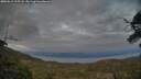 ./images/calvert/fitz-hugh-hecate/20250612/fitz-hugh-hecate20250612_215507M.jpg