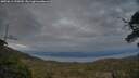 ./images/calvert/fitz-hugh-hecate/20250612/fitz-hugh-hecate20250612_220009M.jpg