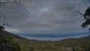 ./images/calvert/fitz-hugh-hecate/20250612/fitz-hugh-hecate20250612_220509M.jpg