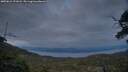 ./images/calvert/fitz-hugh-hecate/20250612/fitz-hugh-hecate20250612_221008M.jpg
