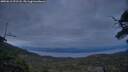 ./images/calvert/fitz-hugh-hecate/20250612/fitz-hugh-hecate20250612_221508M.jpg