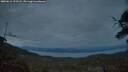 ./images/calvert/fitz-hugh-hecate/20250612/fitz-hugh-hecate20250612_222508M.jpg