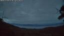 ./images/calvert/fitz-hugh-hecate/20250612/fitz-hugh-hecate20250612_223508M.jpg