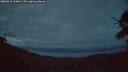 ./images/calvert/fitz-hugh-hecate/20250612/fitz-hugh-hecate20250612_224009M.jpg