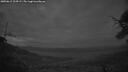 ./images/calvert/fitz-hugh-hecate/20250612/fitz-hugh-hecate20250612_224508M.jpg