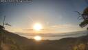 ./images/calvert/fitz-hugh-hecate/20250613/fitz-hugh-hecate20250613_062511M.jpg