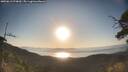 ./images/calvert/fitz-hugh-hecate/20250613/fitz-hugh-hecate20250613_070010M.jpg