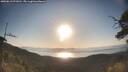 ./images/calvert/fitz-hugh-hecate/20250613/fitz-hugh-hecate20250613_071010M.jpg