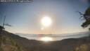./images/calvert/fitz-hugh-hecate/20250613/fitz-hugh-hecate20250613_071509M.jpg